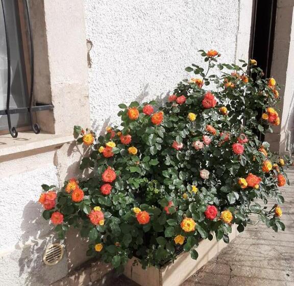 B&b La Casa Dei Nonni