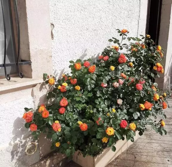 B&b La Casa Dei Nonni