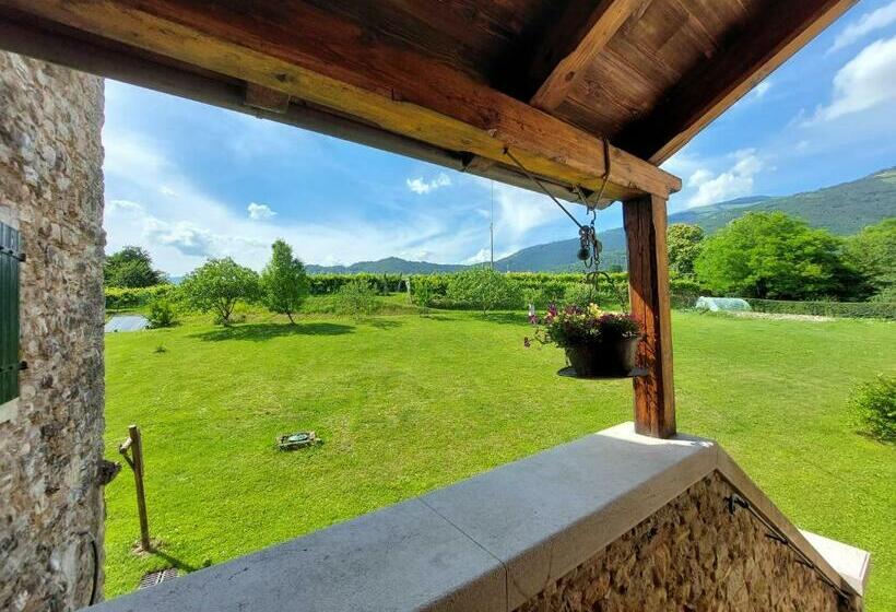 ベッドアンドブレックファースト Cordana