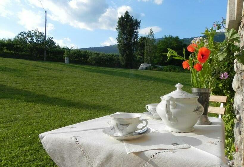 ベッドアンドブレックファースト Cordana