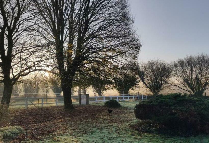 Bed and Breakfast Domaine De L Hôtel Au Franc