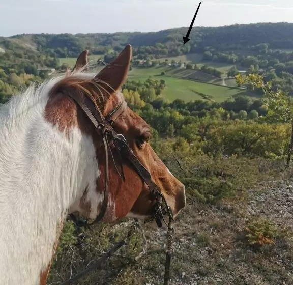 Aamiaismajoitus (B&B) Gîte Baden