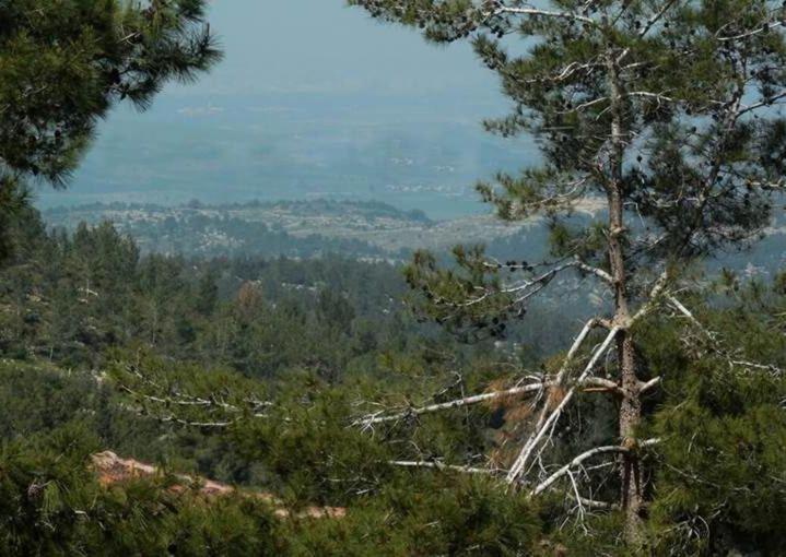 住宿加早餐  Nofei Neve Ilan