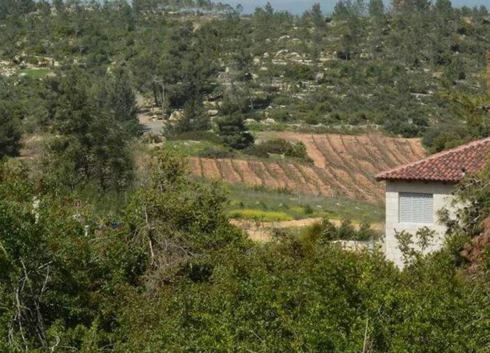 住宿加早餐  Nofei Neve Ilan