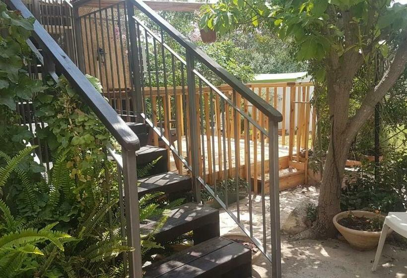 住宿加早餐  Nofei Neve Ilan