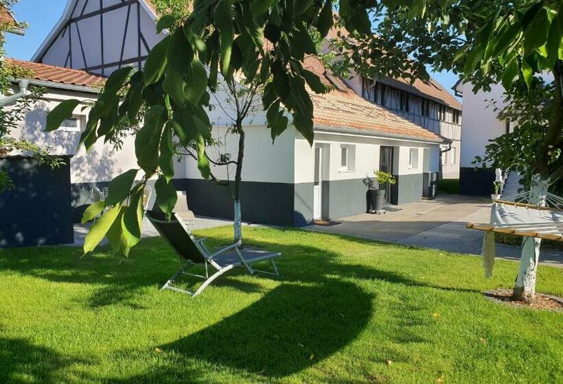 بنسيون Chez Stef