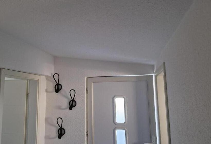 膳宿费 Haus Rheinsheimer Scheuer