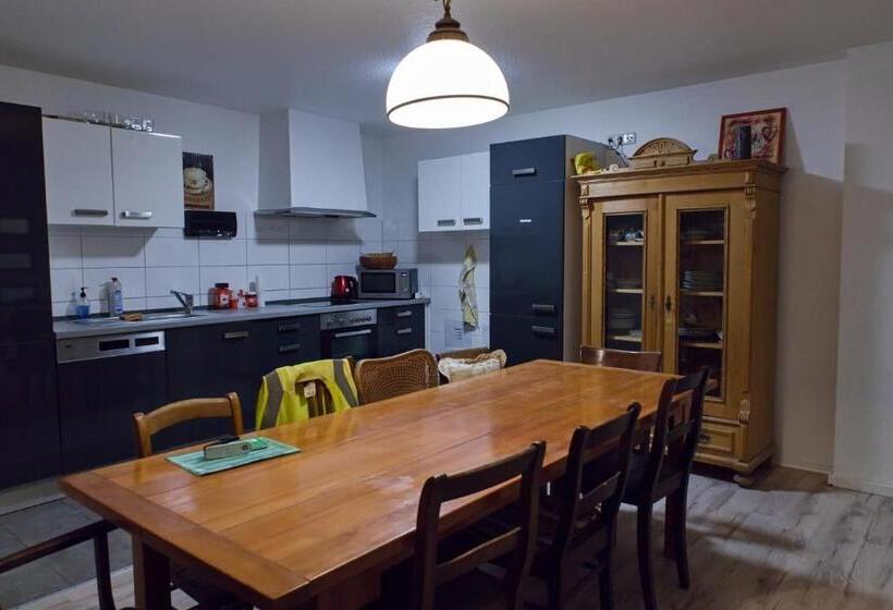 膳宿费 Haus Rheinsheimer Scheuer