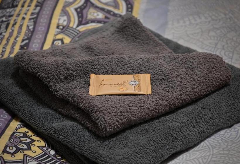 膳宿费 Haus Rheinsheimer Scheuer