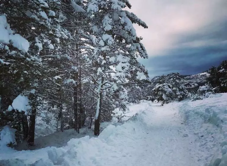 Majatalo Roulotte De Florette