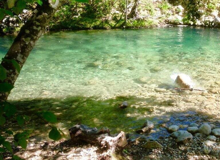 ペンション Roulotte De Florette