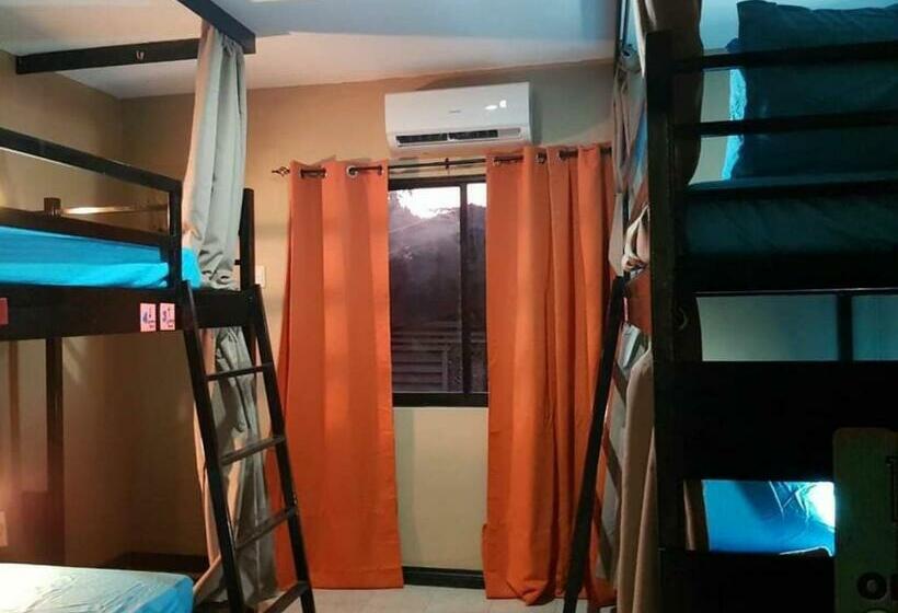 هاستل Carlo S Place