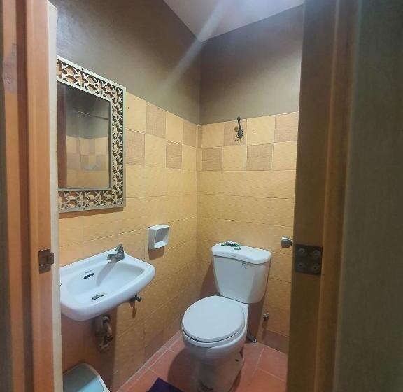 هاستل Carlo S Place