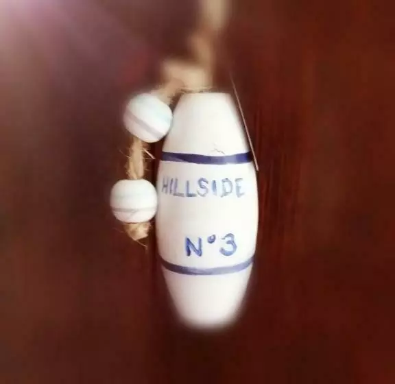 Aamiaismajoitus (B&B) Hillside Rooms