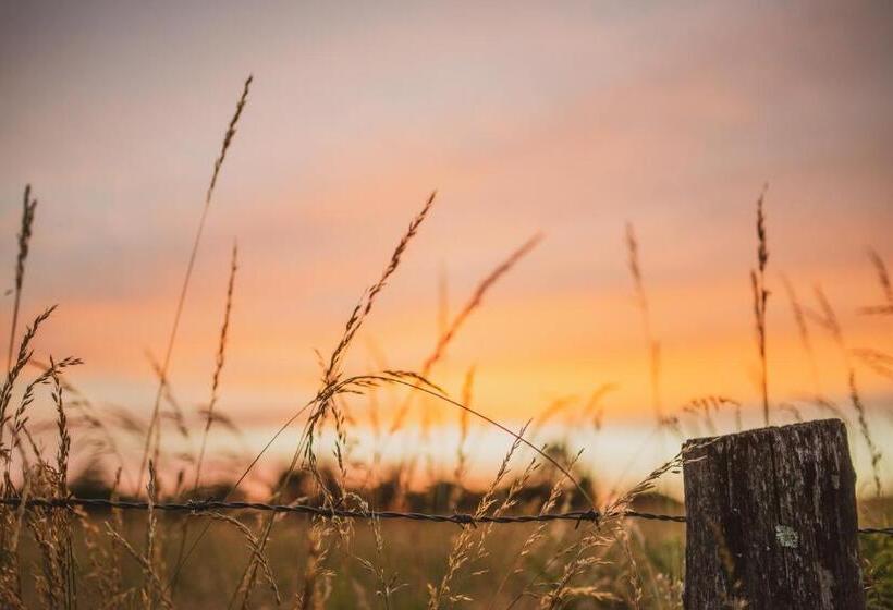 민박 La Douce France