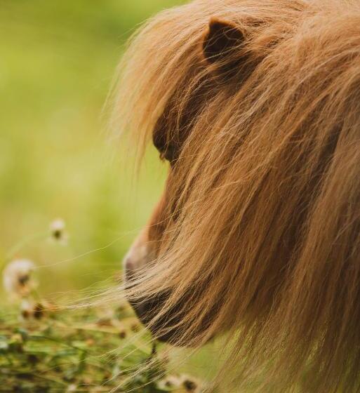 민박 La Douce France