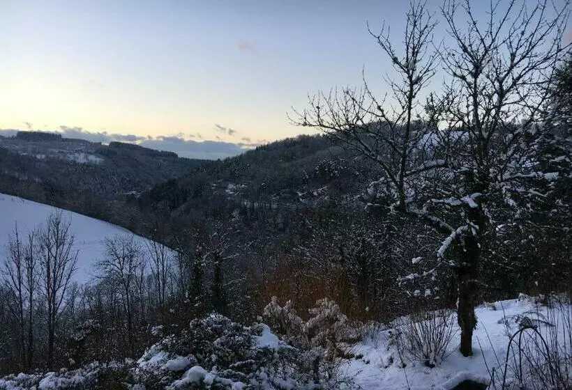 Aamiaismajoitus (B&B) Le Coteau D Olliergues