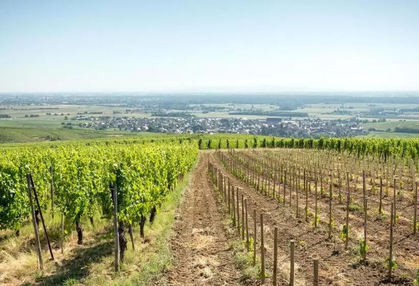 Aamiaismajoitus (B&B) Les Chambres Du Domaine