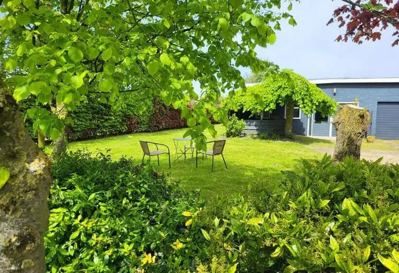 Aamiaismajoitus (B&B) Luxe Bloemenzicht 4 Personen, Bnb, 10 Minuten Van Zee