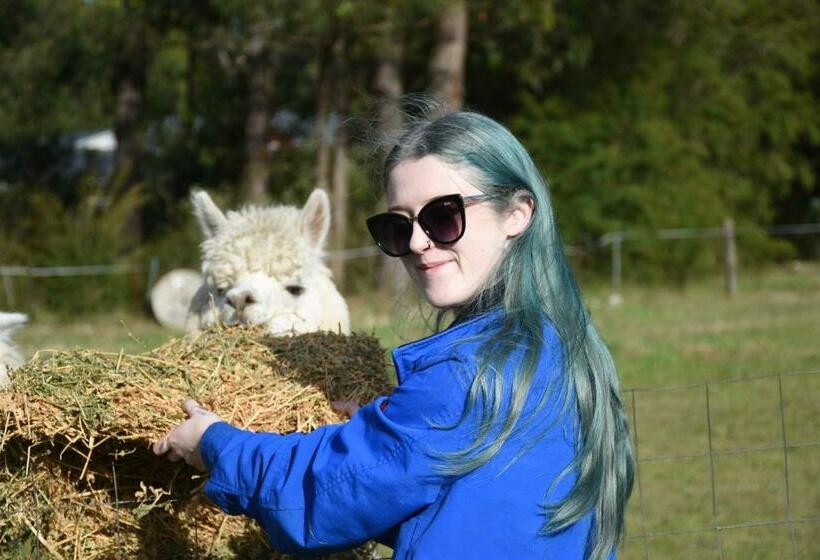 ベッドアンドブレックファースト Mijen S Manor