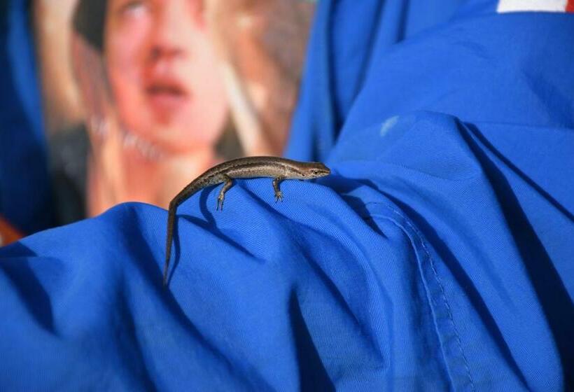 ベッドアンドブレックファースト Mijen S Manor