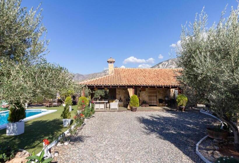 酒店 Bancalillo Redondo