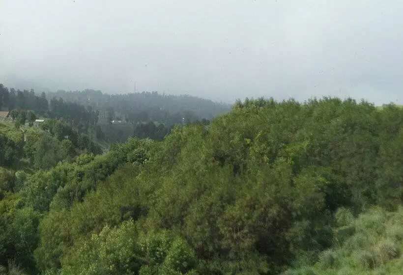 Hotel Fredelia Homestay