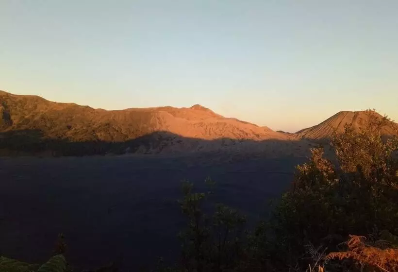 Hotel Fredelia Homestay