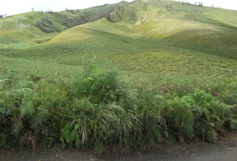 فندق Fredelia Homestay