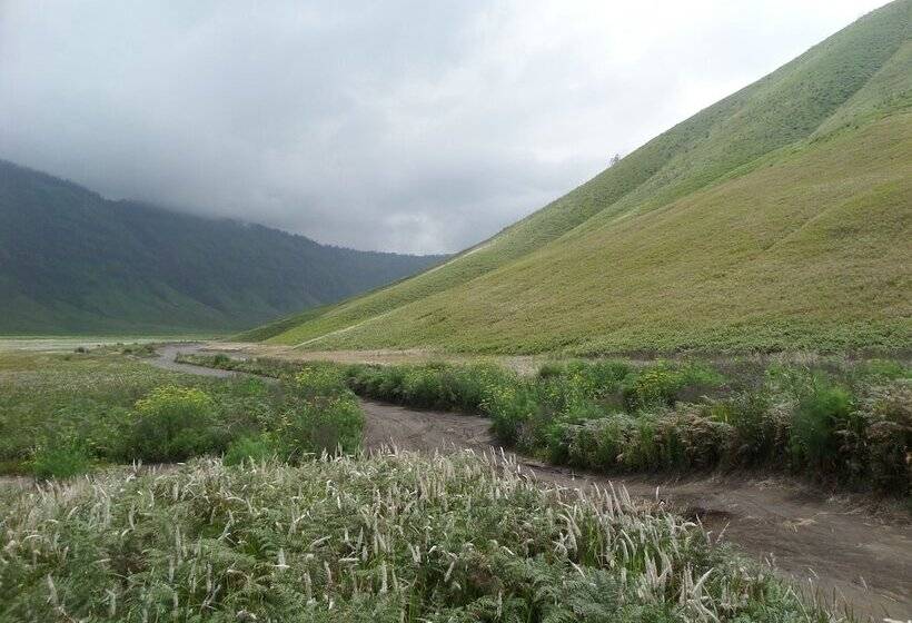 فندق Fredelia Homestay