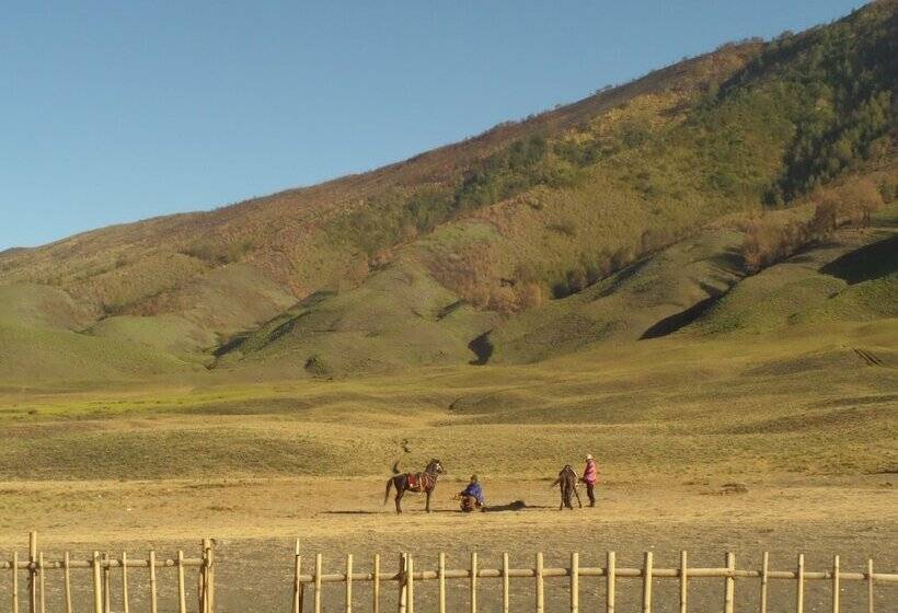 فندق Fredelia Homestay