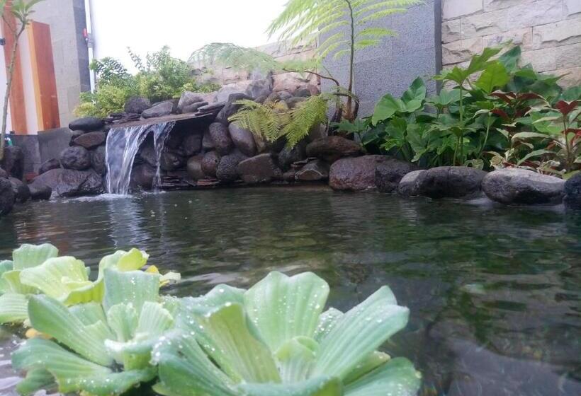 فندق Fredelia Homestay