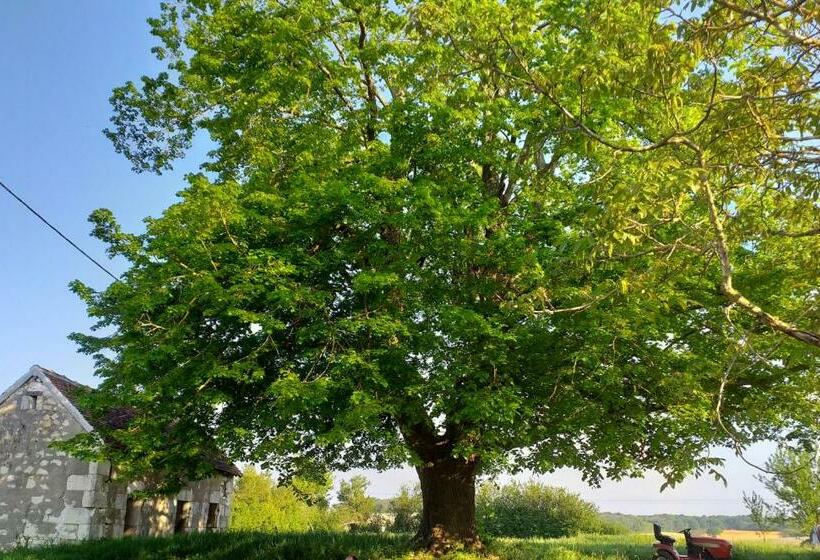 مبيت وإفطار La Berrycurienne Proche Du Zoo De Beauval Saint Aignan Avec Sdb, Wc Et Spa Privatif Pour Chaque Cham