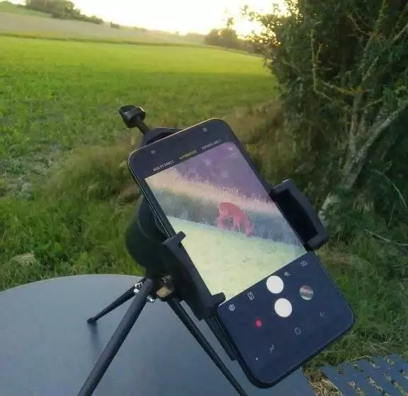 ベッドアンドブレックファースト La Berrycurienne Proche Du Zoo De Beauval Saint Aignan Avec Sdb, Wc Et Spa Privatif Pour Chaque Cham