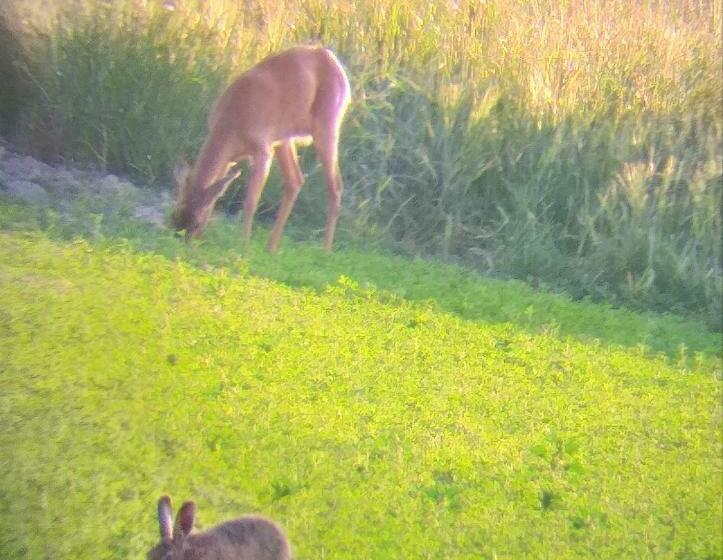 مبيت وإفطار La Berrycurienne Proche Du Zoo De Beauval Saint Aignan Avec Sdb, Wc Et Spa Privatif Pour Chaque Cham