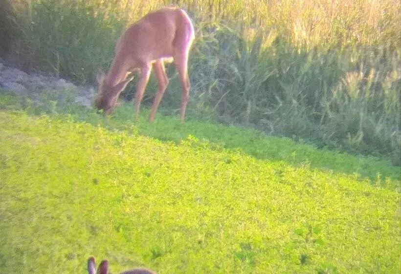 ベッドアンドブレックファースト La Berrycurienne Proche Du Zoo De Beauval Saint Aignan Avec Sdb, Wc Et Spa Privatif Pour Chaque Cham