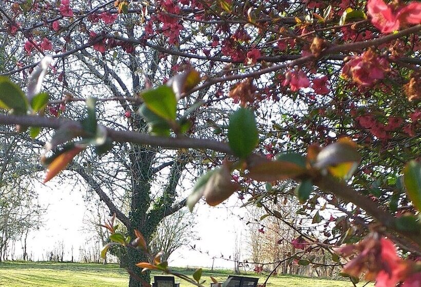 مبيت وإفطار La Berrycurienne Proche Du Zoo De Beauval Saint Aignan Avec Sdb, Wc Et Spa Privatif Pour Chaque Cham