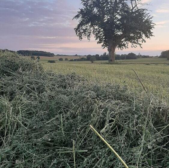 مبيت وإفطار La Berrycurienne Proche Du Zoo De Beauval Saint Aignan Avec Sdb, Wc Et Spa Privatif Pour Chaque Cham