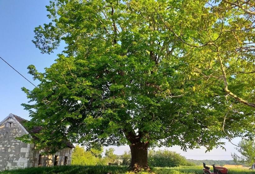 مبيت وإفطار La Berrycurienne Proche Du Zoo De Beauval Saint Aignan Avec Sdb, Wc Et Spa Privatif Pour Chaque Cham