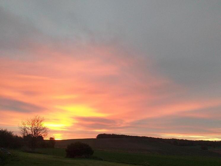 مبيت وإفطار La Berrycurienne Proche Du Zoo De Beauval Saint Aignan Avec Sdb, Wc Et Spa Privatif Pour Chaque Cham