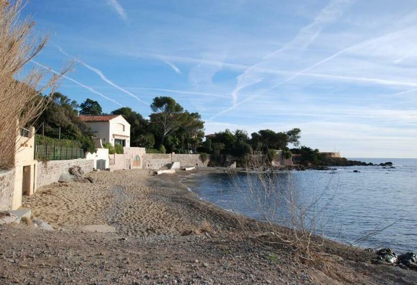 Bed and Breakfast La Javanaise