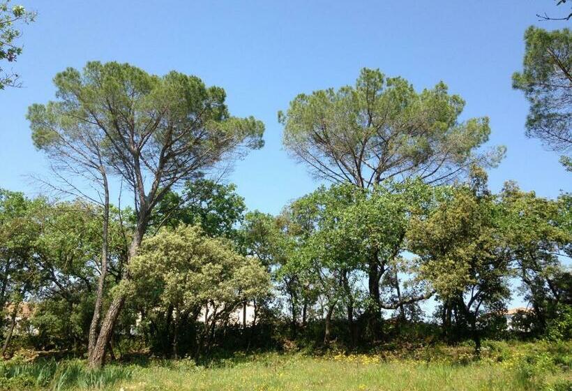 住宿加早餐 Les Marguerites