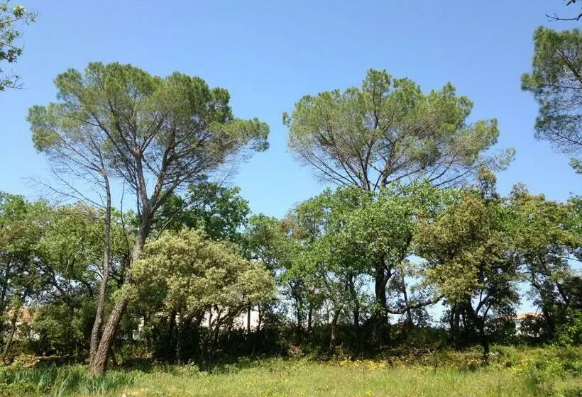 ベッドアンドブレックファースト Les Marguerites