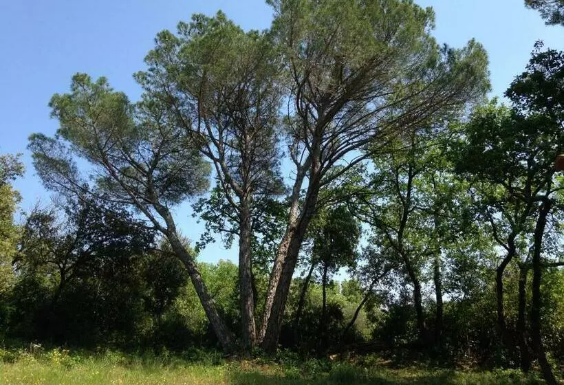 ベッドアンドブレックファースト Les Marguerites