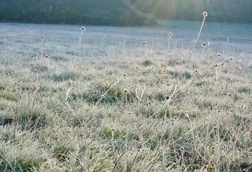 ベッドアンドブレックファースト Moulin Sous La Vergne