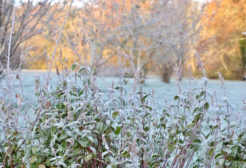 مبيت وإفطار Moulin Sous La Vergne