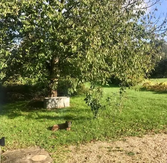 ベッドアンドブレックファースト Moulin Sous La Vergne