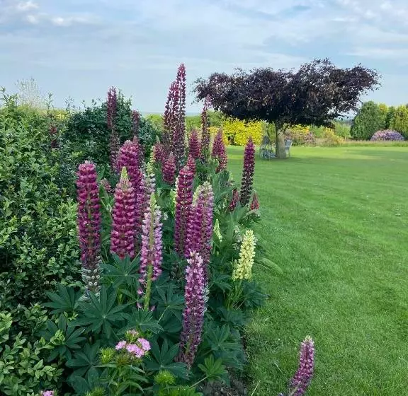 Aamiaismajoitus (B&B) Ticketyboo Suites