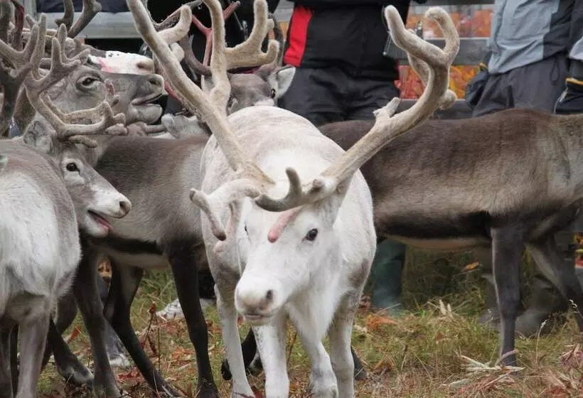 Hotelli Peace & Quiet