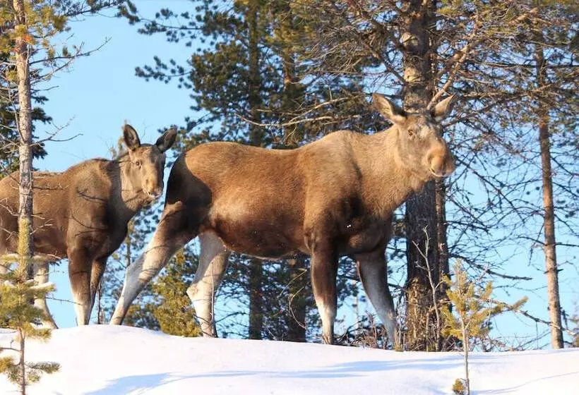 Hotelli Peace & Quiet